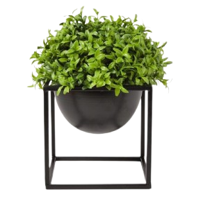 Potted plant on stands