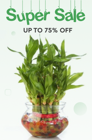 super sale